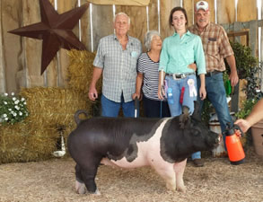 RESERVE CHAMPION OPEN SHOW – 2016 Defiance Co, OH