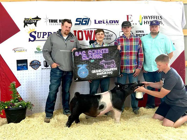 GRAND CHAMPION MARKET HOG – 2023 Sac County Classic Show 1, IA