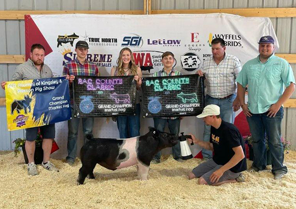 GRAND CHAMPION MARKET HOG – 2023 Sac County Classic Show 2, IA