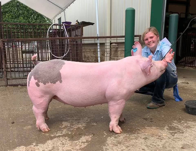 CHAMPION MARKET GILT – 2019 Greene County Junior Fair, OH