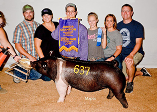 DIVISION 1 CHAMPION – 2018 Indiana Crossbred Classic