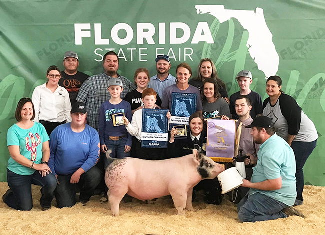 RESERVE GRAND CHAMPION – 2020 Florida State Fair