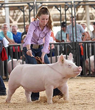 CLASS WINNER, 5TH OVERALL DIV 1 – 2018 NSR WPX