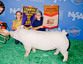 GRAND BRED & OWNED – 2018 NJSA Summer Spectacular