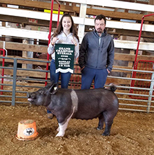 GRAND CHAMPION GILT – 2018 Banilac County, MI