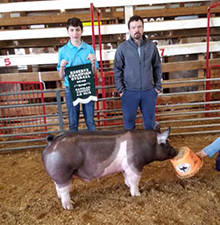 GRAND CHAMPION BARROW -2018 Banilac County, MI