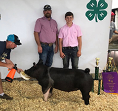 GRAND CHAMPION – 2018 Champaign County, OH