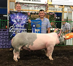 GRAND CHAMPION – 2018 Harrison County, OH