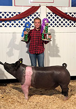 GRAND CHAMPION – 2018 Henry County, OH