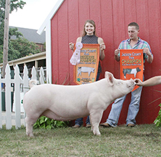 GRAND CHAMPION PUREBRED, RESERVE GRAND CHAMPION OVERALL – 2018 Jackson County, MI