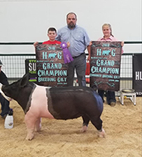 GRAND CHAMPION BREEDING GILT – 2018 Madison County