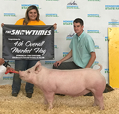 GRAND PUREBRED BARROW FFA SHOW – 2018 Minnesota State Fair