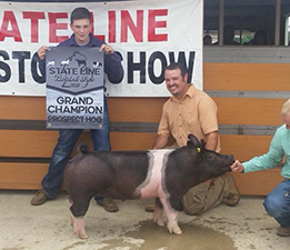 GRAND CHAMPION PROSPECT HOG – 2018 State Line Livestock Show