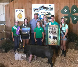 GRAND CHAMPION – 2018 West Virginia Interstate Fair and Expo