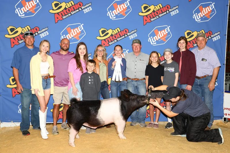 3RD PLACE CROSS –  2023 San Antonio Stock Show, TX