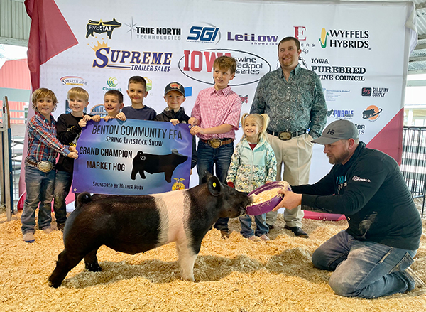CHAMPION OVERALL MARKET HOG – 2023 Benton FFA Jackpot, IA