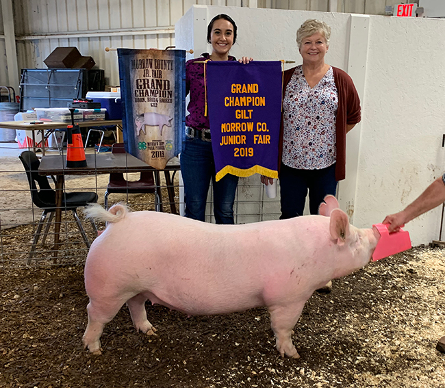 GRAND CHAMPION BREEDING GILT – 2019 Morrow County Fair