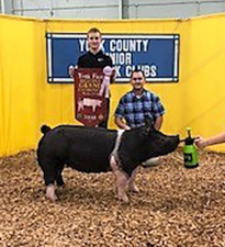 RESERVE GRAND CHAMPION -2018 York Fair, PA