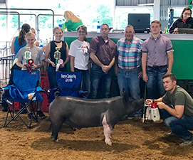 RESERVE GRAND CHAMPION – 2018 Scioto County, OH