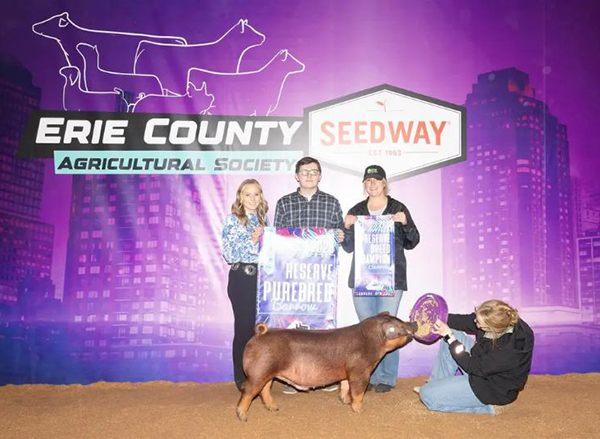 RESERVE PURE BARROW DAY 2 – 2023 WNY Preview Classic, NY