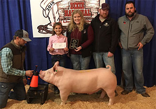 RESERVE CHAMPION YORK   – 2018 Dixie National Livestock Show