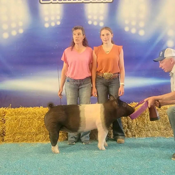 4TH OVERALL MARKET HOG – 2023 South Dakota Show, SD