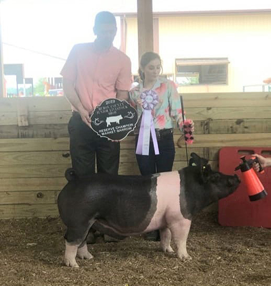 RESERVE CHAMPION BARROW – 2019 Huron Co, MI