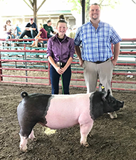 RESERVE CHAMPION –  2018 Clinton Co, MI