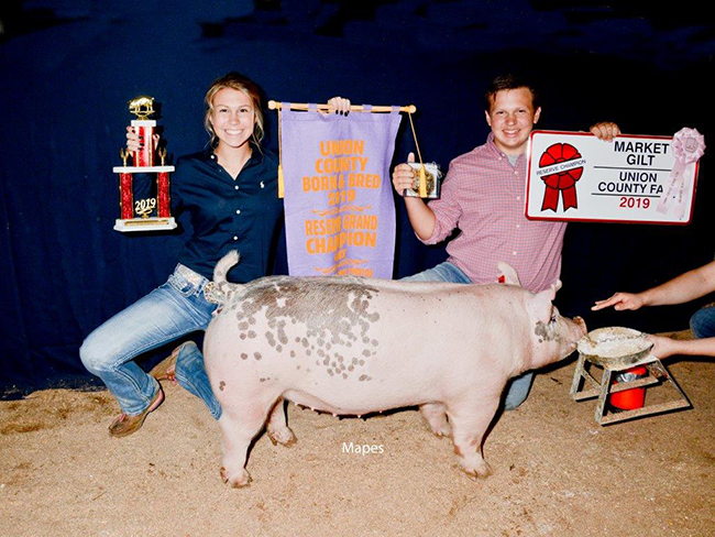 RESERVE CHAMPION MARKET GILT, RESERVE COUNTY BORN & BRED MARKET GILT – 2019 Union County, OH Junior Show