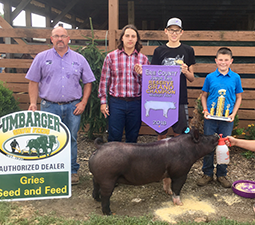 RESERVE GRAND OVERALL – 2018 Erie County, OH