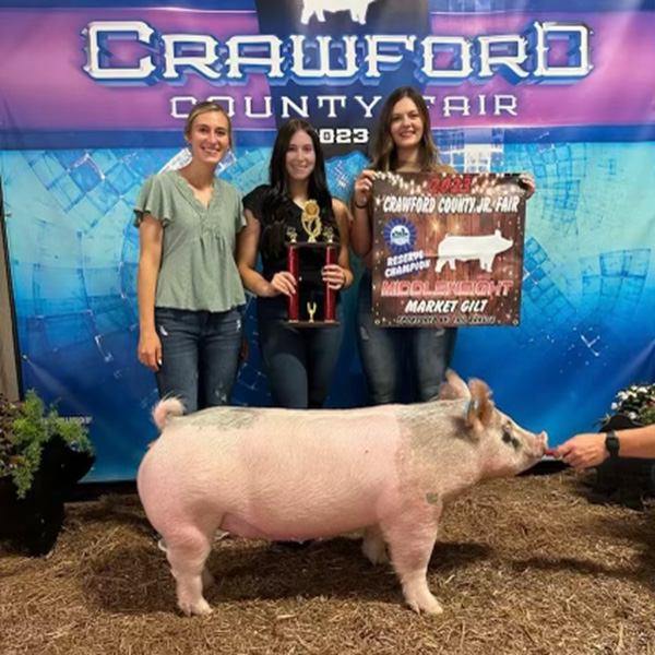 RESERVE CHAMPION MIDDLE WEIGHT GILT – 2023 Crawford County, OH