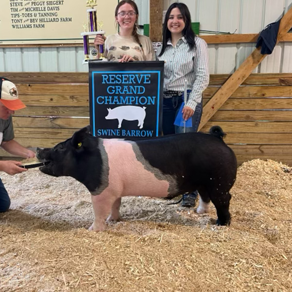 RESERVE CHAMPION OVERALL MARKET HOG – 2023 Clare County, MI