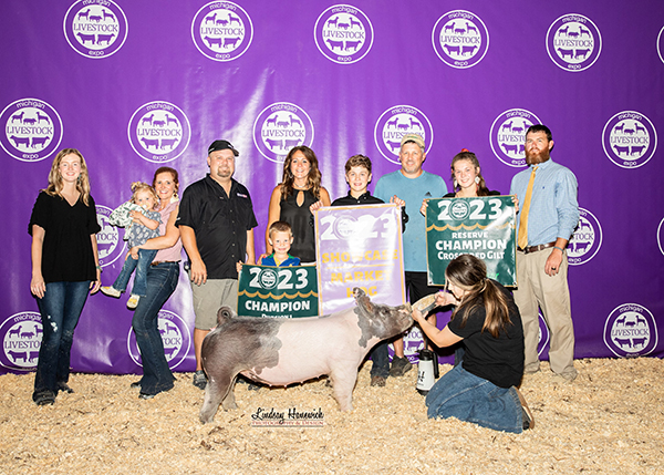 7TH OVERALL, RESERVE CROSS GILT – 2023 Michigan Livestock Expo, MI
