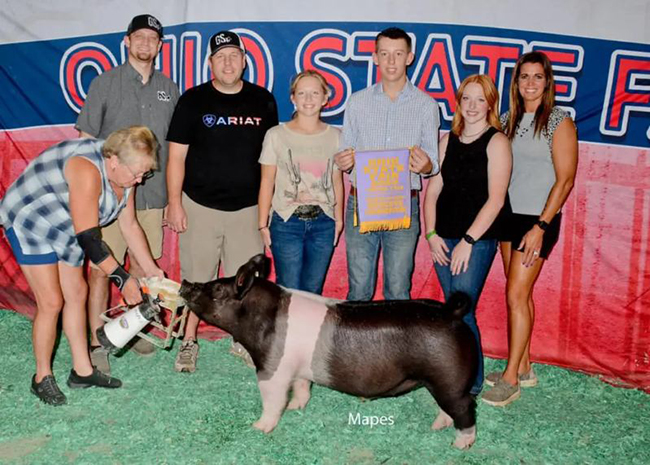D1 RESERVE CHAMPION DARK CROSS BARROW  –  2023 Ohio State Fair