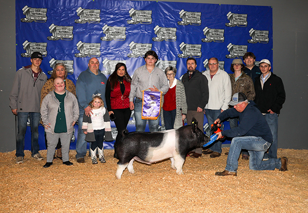 CHAMPION MISSISSIPPI BRED BARROW –  2023 Dixie National, MS