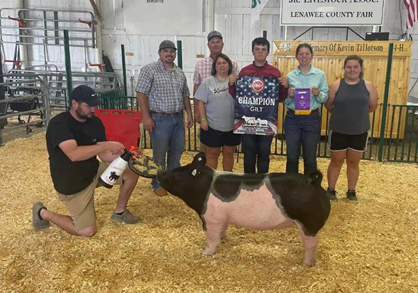 GRAND CHAMPION GILT OVERALL –  2023 Lenawee County, MI