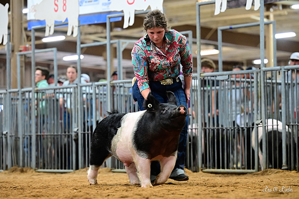 5th OVERALL D3 DARK CROSS BARROWS, CLASS WINNER – 2023 Ohio State Fair