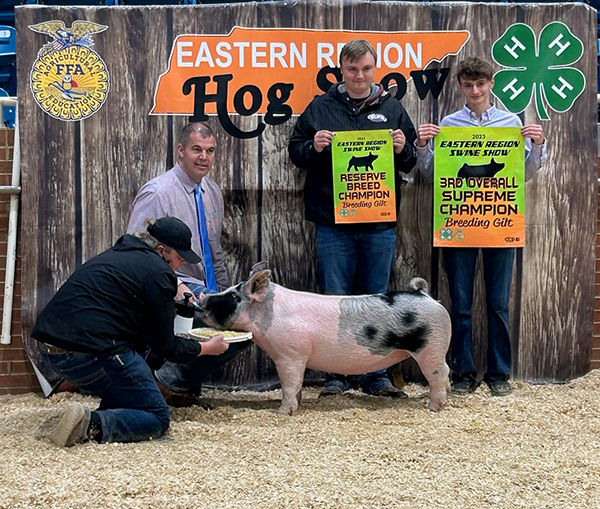 RESERVE CROSS & 3RD OVERALL HOG – 2023 Eastern Region Hog Show, TN