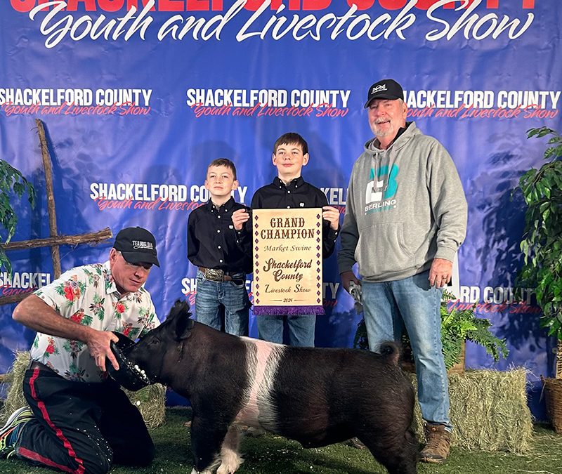 GRAND CHAMPION OVERALL – 2024 Shackelford County, TX