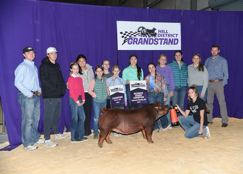 RESERVE GRAND PURE, GRAND DUROC – 2024 Hill District Grandstand