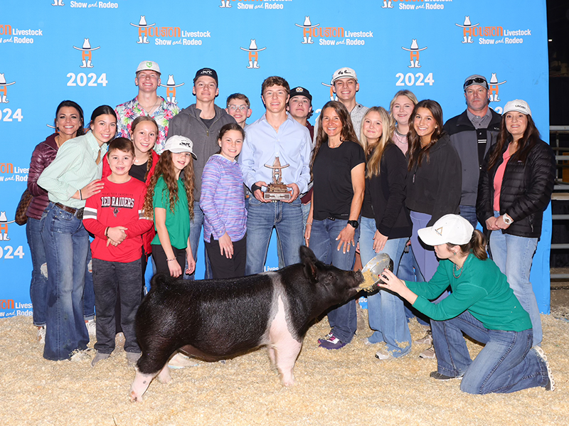 CLASS WINNER, SALE MAKER – 2024 Houston Livestock Show