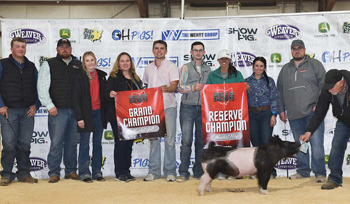 RESERVE CHAMPION OVERALL MARKET HOG, CHAMPION MARKET GILT, BOTH DAYS  – 2024 Battle of the Buckeye Jackpot Show, OH
