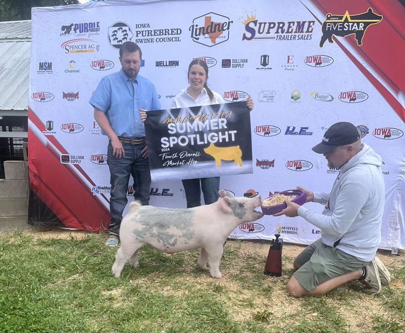 4TH OVERALL MARKET HOG – 2024 MMCRU FFA Show, IA