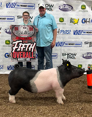 5TH OVERALL MARKET HOG,RESERVE CHAMPION MARKET GILT  – 2024 Rick Wyer Jackpot Show, OH