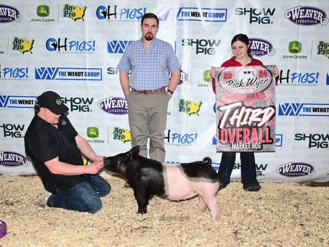 CHAMPION MARKET GILT, 3RD OVERALL RING 2, BOTH DAYS – 2024 Rick Wyer Memorial Jackpot Show, OH