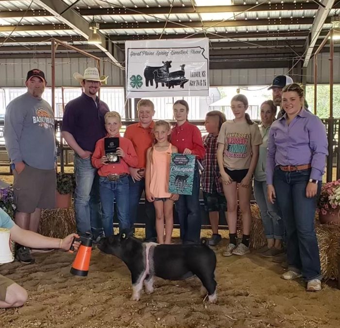 GRAND BREEDING GILT – 2024 Great Plains Spring Livestock Show, KS