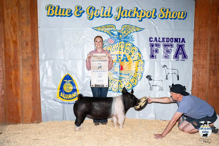 3RD OVERALL CROSS MARKET HOG – 2024 Blue and Golf, MI
