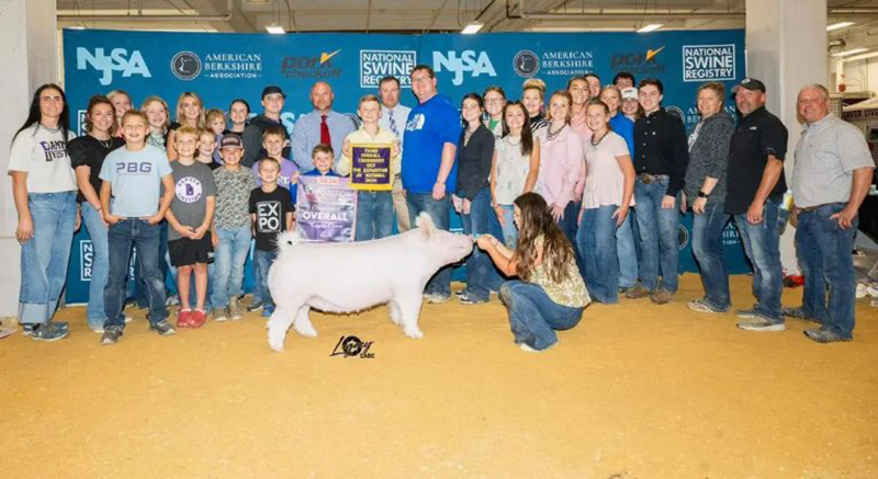 3RD OVERALL CROSSBRED GILT – 2024 The Exposition Jr Show, IN