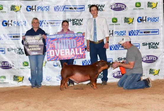 CHAMPION DUROC BARROW, 3RD OVERALL – 2024 Pickaway Co Palooza, OH