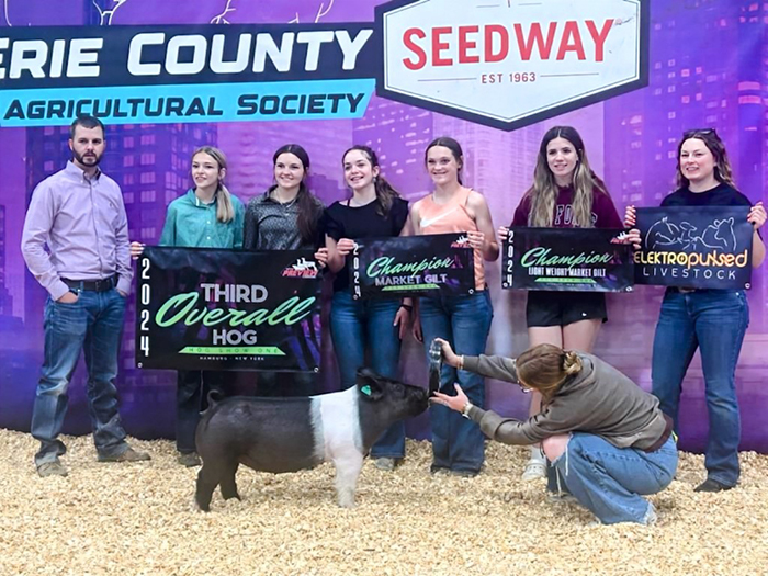 CHAMPION GILT, 3RD OVERALL – 2024 WNY Hog Preview, NY
